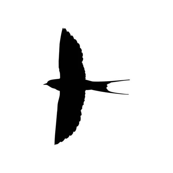 Flying Swallow Bird Silhouette Για Λογότυπο Εικονόγραμμα Ιστοσελίδα Art Illustration — Διανυσματικό Αρχείο