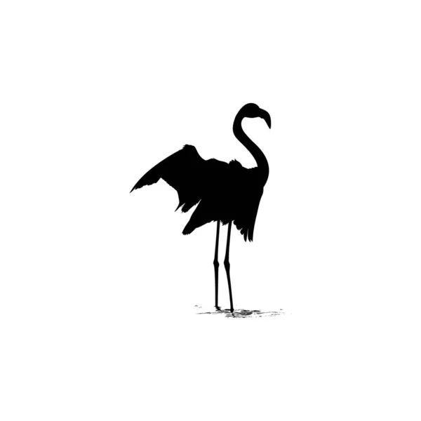 Dansen Flamingo Silhouet Voor Ikoon Symbool Logo Art Illustration Pictogram — Stockvector