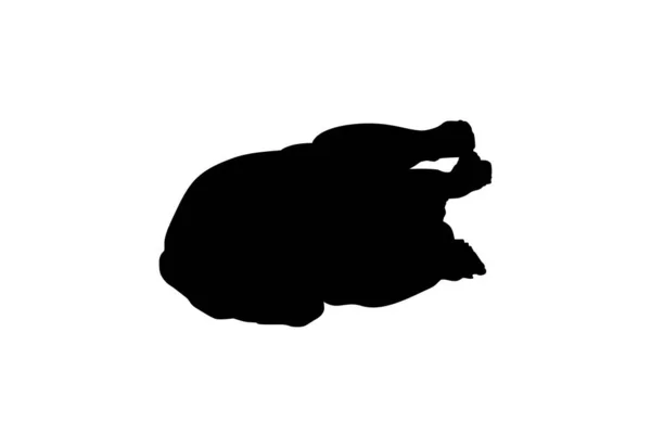 Silueta Carne Pollo Para Logotipo Aplicaciones Sitio Web Pictograma Ilustración — Vector de stock