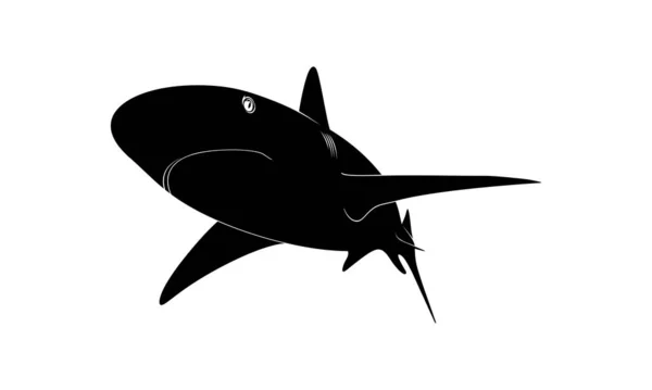 Shark Silhouette Para Logo Pictograma Site Ilustração Arte Infográfico Elemento — Vetor de Stock