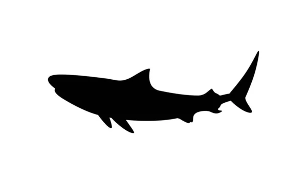 2015 Shark Silhouette Logo Pictogram Website Art Illustration Infographic Graphic — 스톡 벡터