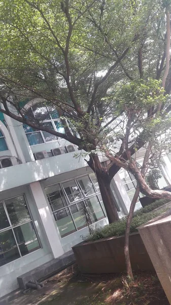 Uno Los Rincones Del Jardín Hospital Semarang Indonesia — Foto de Stock