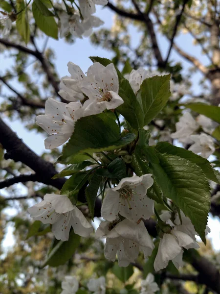 Bu arka planın taşıdığı şefkat inanılmaz. 
