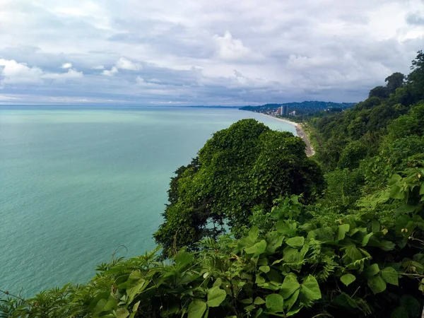Atumi Botanik Bahçesi 'nden resimsel alan