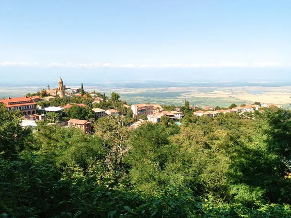 Batum Botanik Bahçesi 'nin güzel manzarası dinlenmek ve rahatlamak için en iyi ortam.