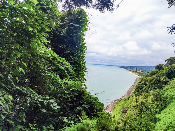 Batum Botanik Bahçesi 'nin güzel manzarası dinlenmek ve rahatlamak için en iyi ortam.