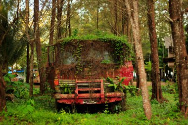 Parktaki eski ahşap bank.