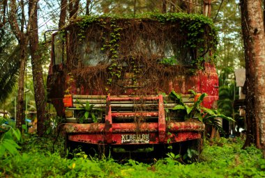 Ormanın ortasındaki eski paslı kırmızı kamyonet.