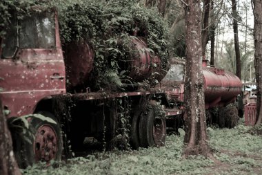 Ormanın ortasındaki eski paslı kırmızı kamyonet.