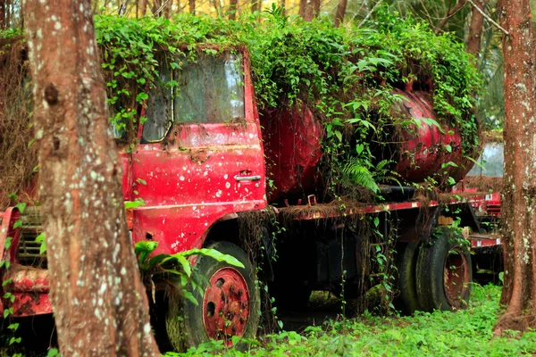 Παλιό Σκουριασμένο Αυτοκίνητο Στον Κήπο — Φωτογραφία Αρχείου