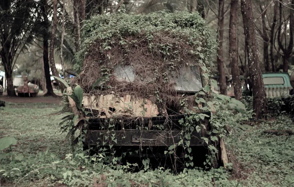 Alter Rostiger Roter Lkw Mitten Wald — Stockfoto