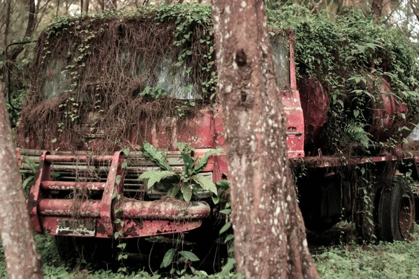 Alter Rostiger Roter Lkw Mitten Wald — Stockfoto