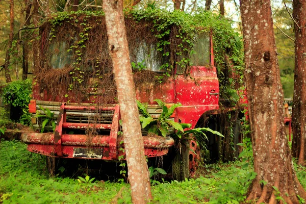 Παλιό Σκουριασμένο Κόκκινο Φορτηγό Στο Δάσος Στη Μέση Του Δάσους — Φωτογραφία Αρχείου