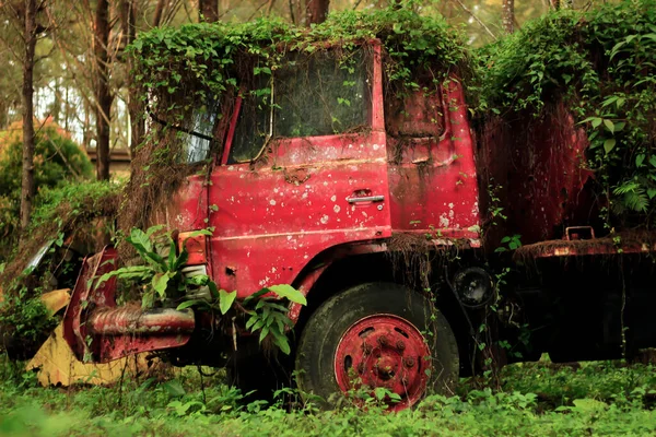Παλιό Σκουριασμένο Κόκκινο Φορτηγό Στο Δάσος Στη Μέση Του Δάσους — Φωτογραφία Αρχείου