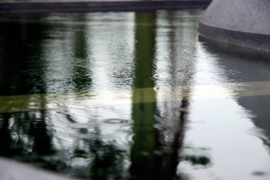 Yağmur damlaları bahçenin ortasındaki gölete sıçrıyor..