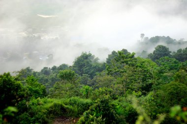 Bukit Biru Çenggarong Tepesi 'nin doğal manzarası. Yeşil ormanlar, açık mavi gökyüzü, sis, ağaçlar ve çok güzel binalar..