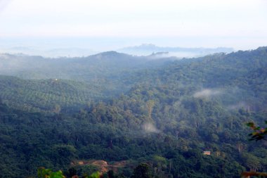 Bukit Biru Çenggarong Tepesi 'nin doğal manzarası. Yeşil ormanlar, açık mavi gökyüzü, sis, ağaçlar ve çok güzel binalar..