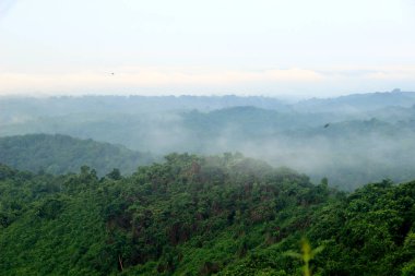 Bukit Biru Çenggarong Tepesi 'nin doğal manzarası. Yeşil ormanlar, açık mavi gökyüzü, sis, ağaçlar ve çok güzel binalar..