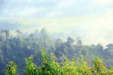 Bukit Biru Çenggarong Tepesi 'nin doğal manzarası. Yeşil ormanlar, açık mavi gökyüzü, sis, ağaçlar ve çok güzel binalar..