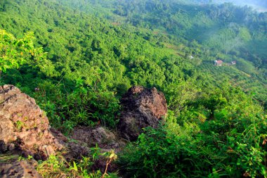 Bukit Biru Çenggarong Tepesi 'nin doğal manzarası. Yeşil ormanlar, açık mavi gökyüzü, sis, ağaçlar ve çok güzel binalar..