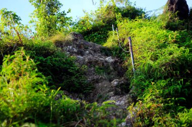 Bukit Biru Çenggarong Tepesi 'nin doğal manzarası. Yeşil ormanlar, açık mavi gökyüzü, sis, ağaçlar ve çok güzel binalar..