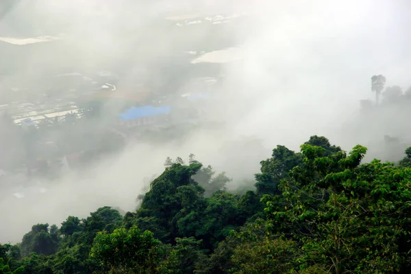 Paesaggio Naturale Picco Bukit Biru Tenggarong Dove Sono Foreste Verdi — Foto Stock