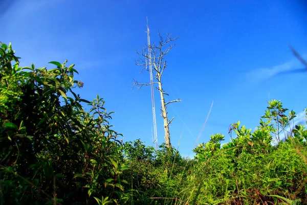 Paisagem Natural Pico Bukit Biru Tenggarong Onde Florestas Verdes Céu — Fotografia de Stock