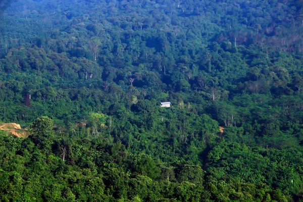 Bukit Biru Çenggarong Tepesi Nin Doğal Manzarası Yeşil Ormanlar Açık — Stok fotoğraf