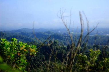 Bukit Biru Çenggarong Tepesi 'nin doğal manzarası. Yeşil ormanlar, açık mavi gökyüzü, sis, ağaçlar ve çok güzel binalar..