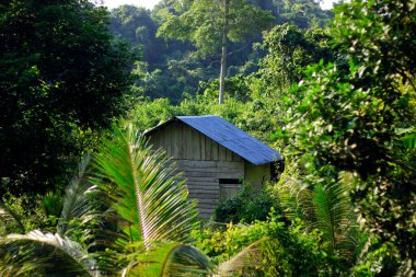 Bukit Biru Çenggarong Tepesi 'nin doğal manzarası. Yeşil ormanlar, açık mavi gökyüzü, sis, ağaçlar ve çok güzel binalar..