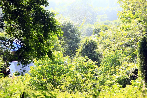 Paisagem Natural Pico Bukit Biru Tenggarong Onde Florestas Verdes Céu — Fotografia de Stock