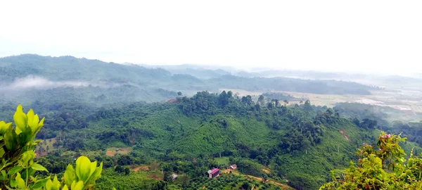 Paesaggio Naturale Picco Bukit Biru Tenggarong Dove Sono Foreste Verdi — Foto Stock