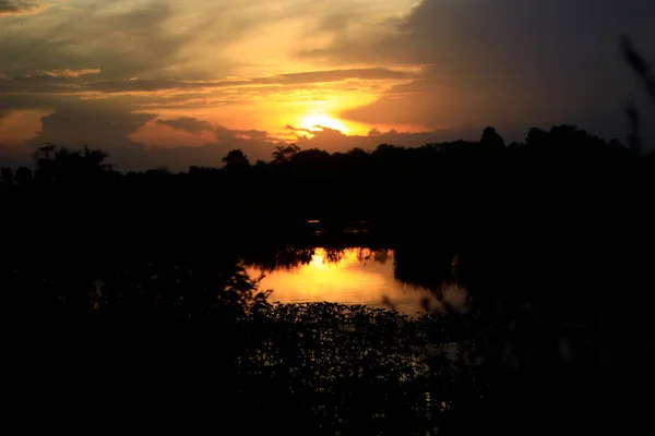 Sun Setting Middle Dark Lonely Swamp Forest — Photo