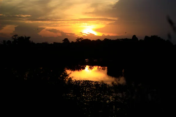 Sun Setting Middle Dark Lonely Swamp Forest — Photo