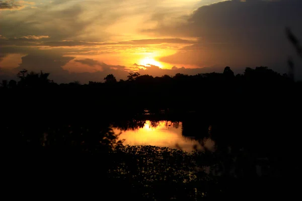 Sun Setting Middle Dark Lonely Swamp Forest — Stockfoto