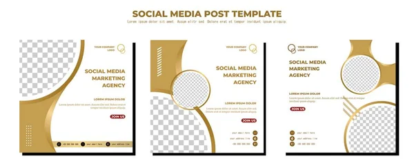 White Gold Vector Social Media Post Template, vector art illustration and text