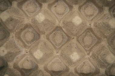 Arka plan için kağıt yumurta sandığının önünde. Üst manzara boş yumurta tepsisi dokusu. Geri dönüşüm kavramı