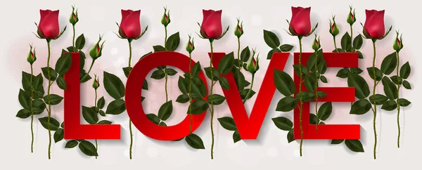 Plantillas Tarjetas Felicitación San Valentín Con Realismo Rosa Hermosa Corazón — Archivo Imágenes Vectoriales