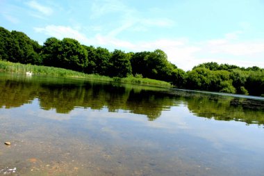 Parkın güzel manzarası
