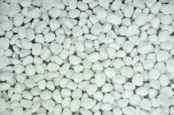 Beyaz deniz çakıl taşları, Akdeniz