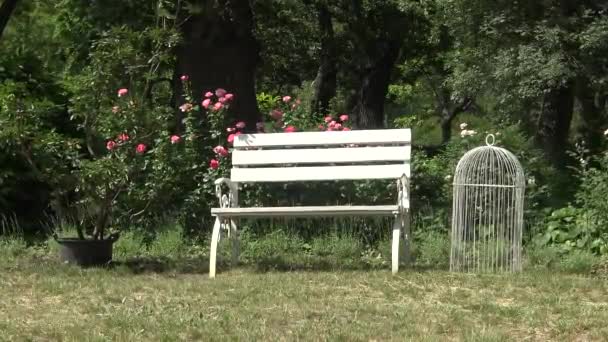 White Bench Botanical Garden Landscape — Stockvideo