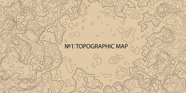 Τοπογραφικό Φόντο Χάρτη Γεωγραφικά Αφηρημένα Μοτίβα Πλέγμα Χάρτης Περίγραμμα Τόπο — Διανυσματικό Αρχείο
