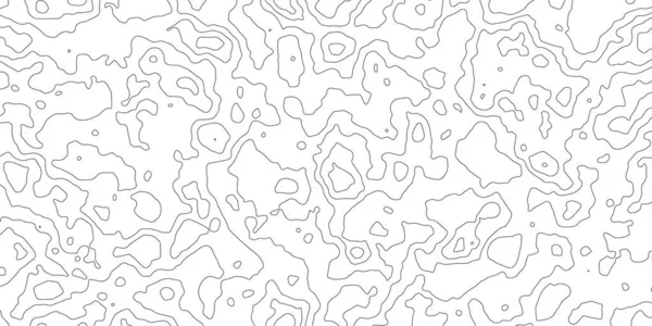 Carte Topographique Arrière Plan Grille Motifs Géographiques Abstraits Topo Carte — Image vectorielle
