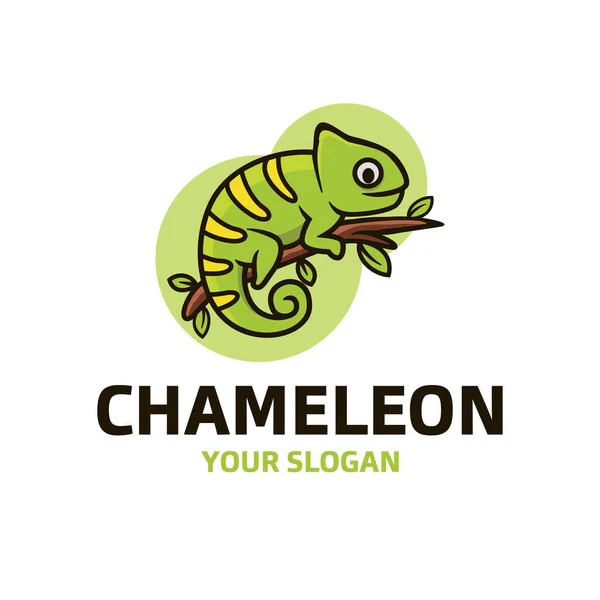 Chamäleon Logo Vektorvorlage — Stockfoto