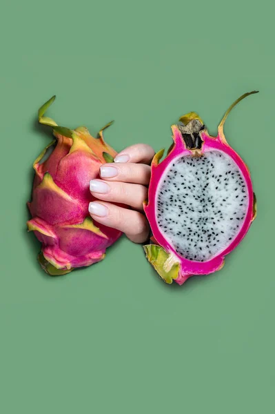 Dragon fruit or pitaya hold hands on isolated blue background as package design element. Pitahaya wallpaper. banner concept. Minimal fruit concept. banner advertising concept