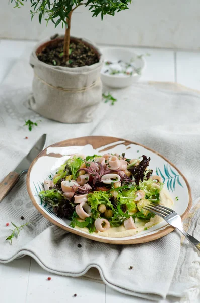 Insalata Con Ceci Calamari Polpo Pomodorini Lattuga Rucola Hummus Piatto — Foto Stock