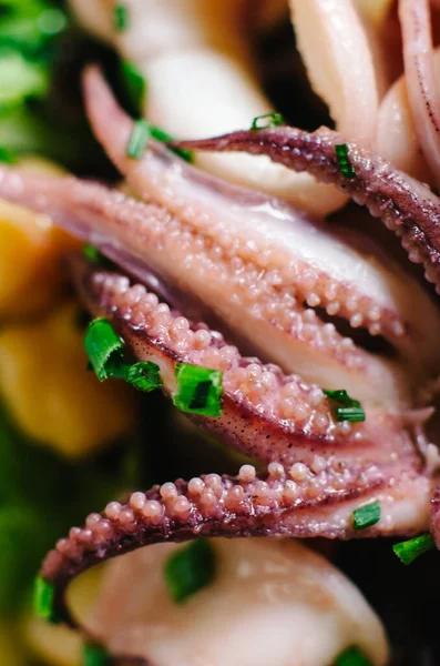 Baby Octopus Plaat Met Citroen Rozemarijn Selectieve Aandacht — Stockfoto