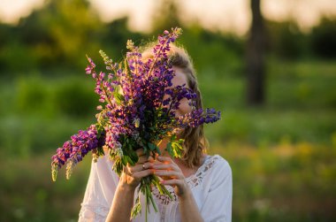 Bir buket mor lupin çiçeği. Yaz tarlasında çiçek açan bir kadın yüzünü gizliyor. Çiçek açmış bir manzara. Kapat.