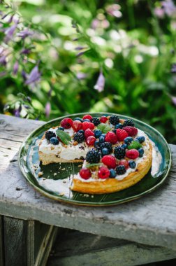 Böğürtlenli, yaban mersinli, böğürtlenli, süzme peynirli tart. Kırsal tarzda doğada fotoğraf.