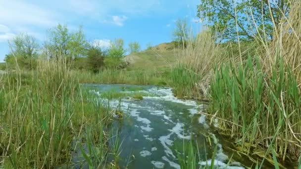 Video záběry malé řeky v zamračený den. Kolem přírody, stromů, trávy. Voda se valí přes skály a tvoří malé vodopády.